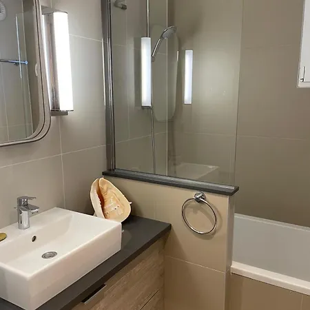 Appartement Presqu île De La Touques N 3404 *